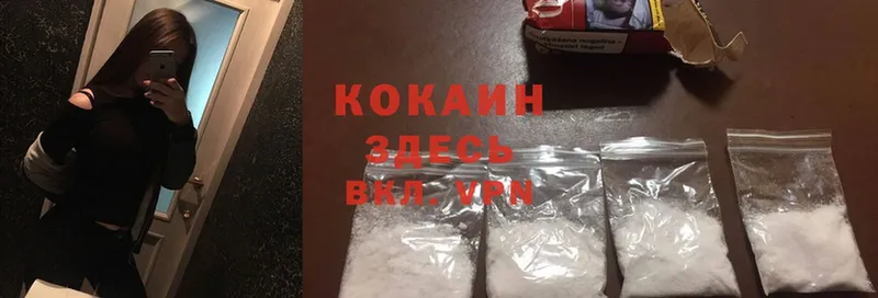 продажа наркотиков  Кимовск  КОКАИН Fish Scale 